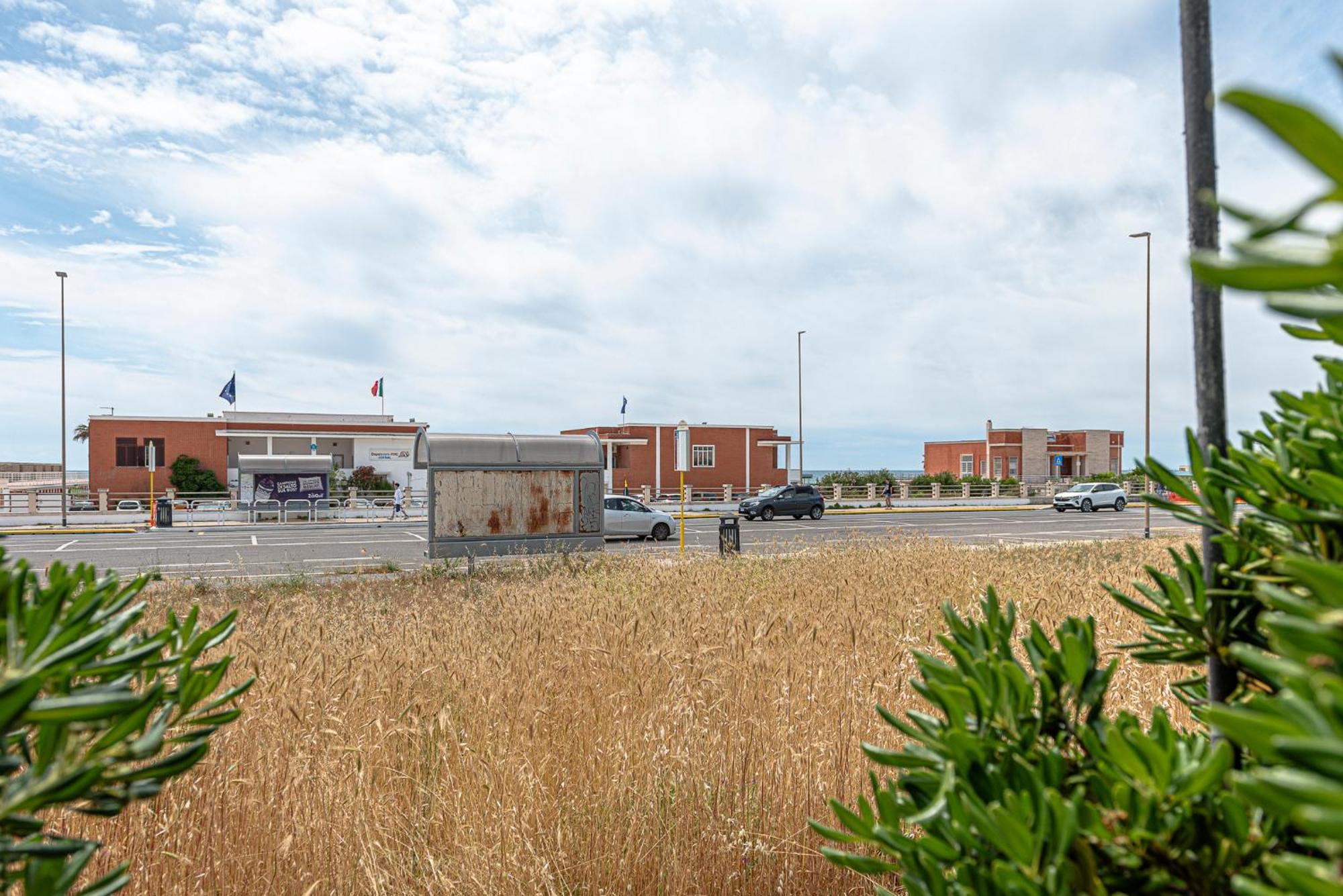 Villino Dei Coralli Lido di Ostia Dış mekan fotoğraf