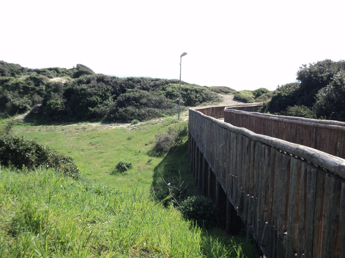 Villino Dei Coralli Lido di Ostia Dış mekan fotoğraf