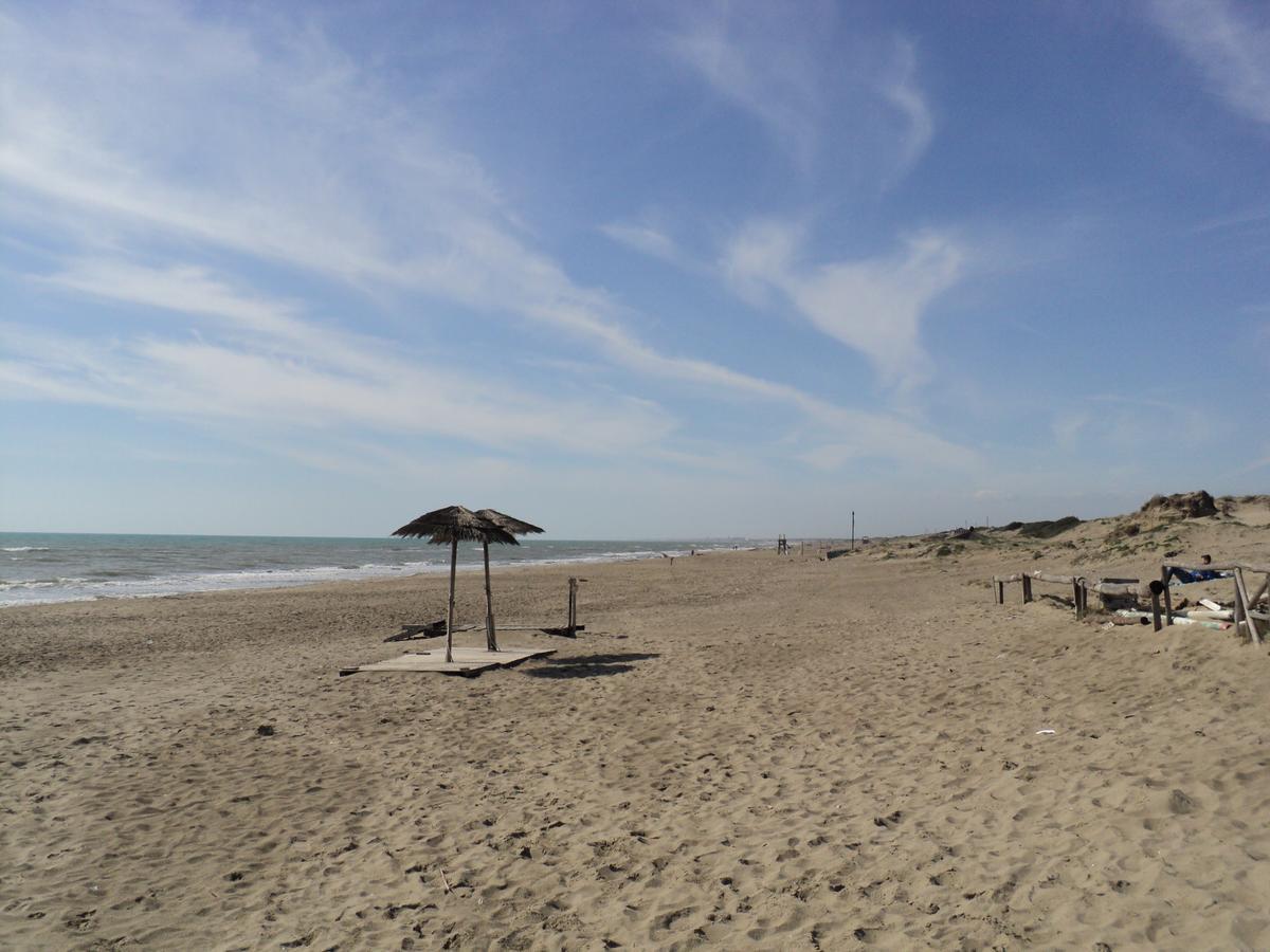 Villino Dei Coralli Lido di Ostia Dış mekan fotoğraf