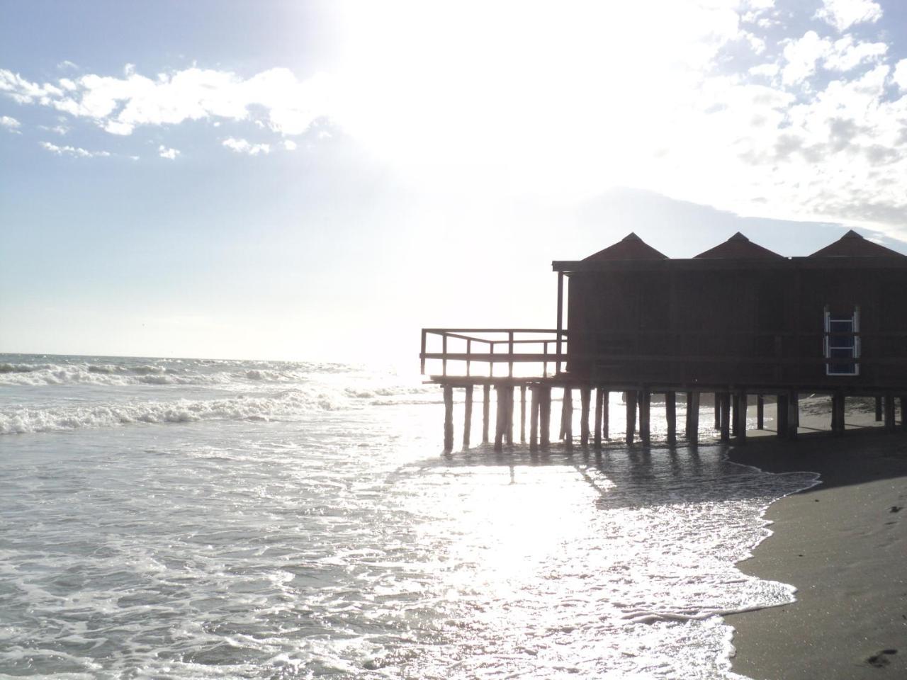 Villino Dei Coralli Lido di Ostia Dış mekan fotoğraf